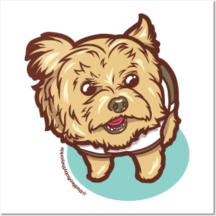 Toby the Yorkie Posters and Art